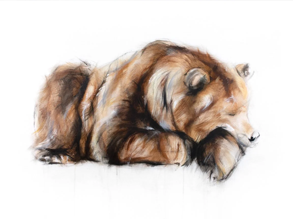 Grizzly+Bear+IX_printimage.jpg (Copy)