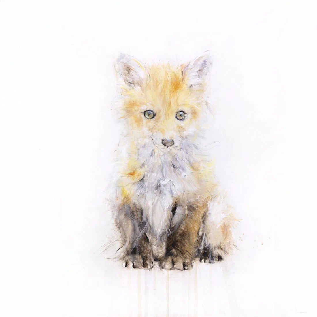 Fox VI_1111_2.jpg
