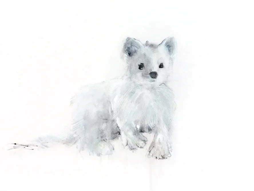 Stoat I_printimage.jpg