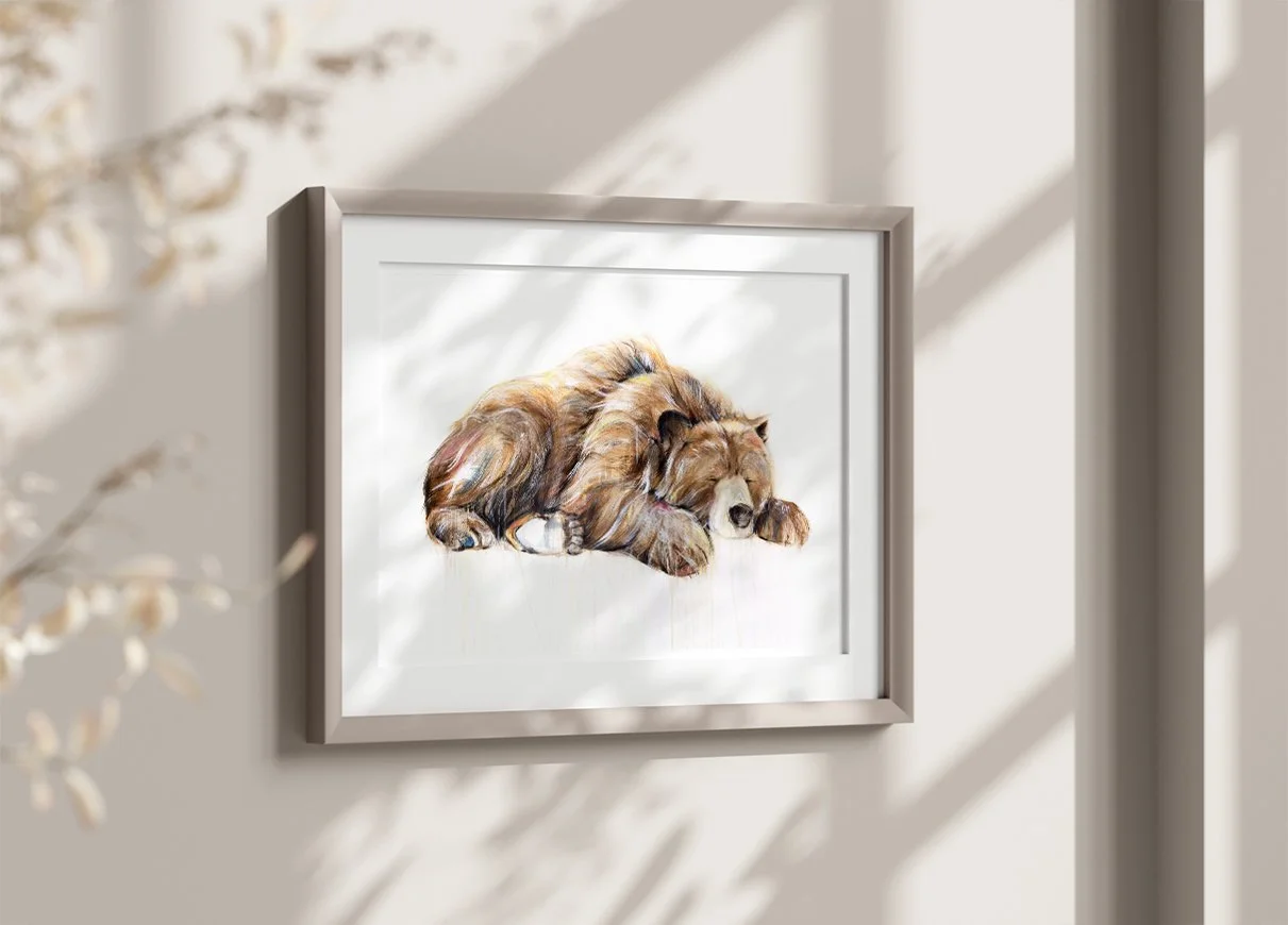 Grizzly+Bear+XVII_printimage2.jpg