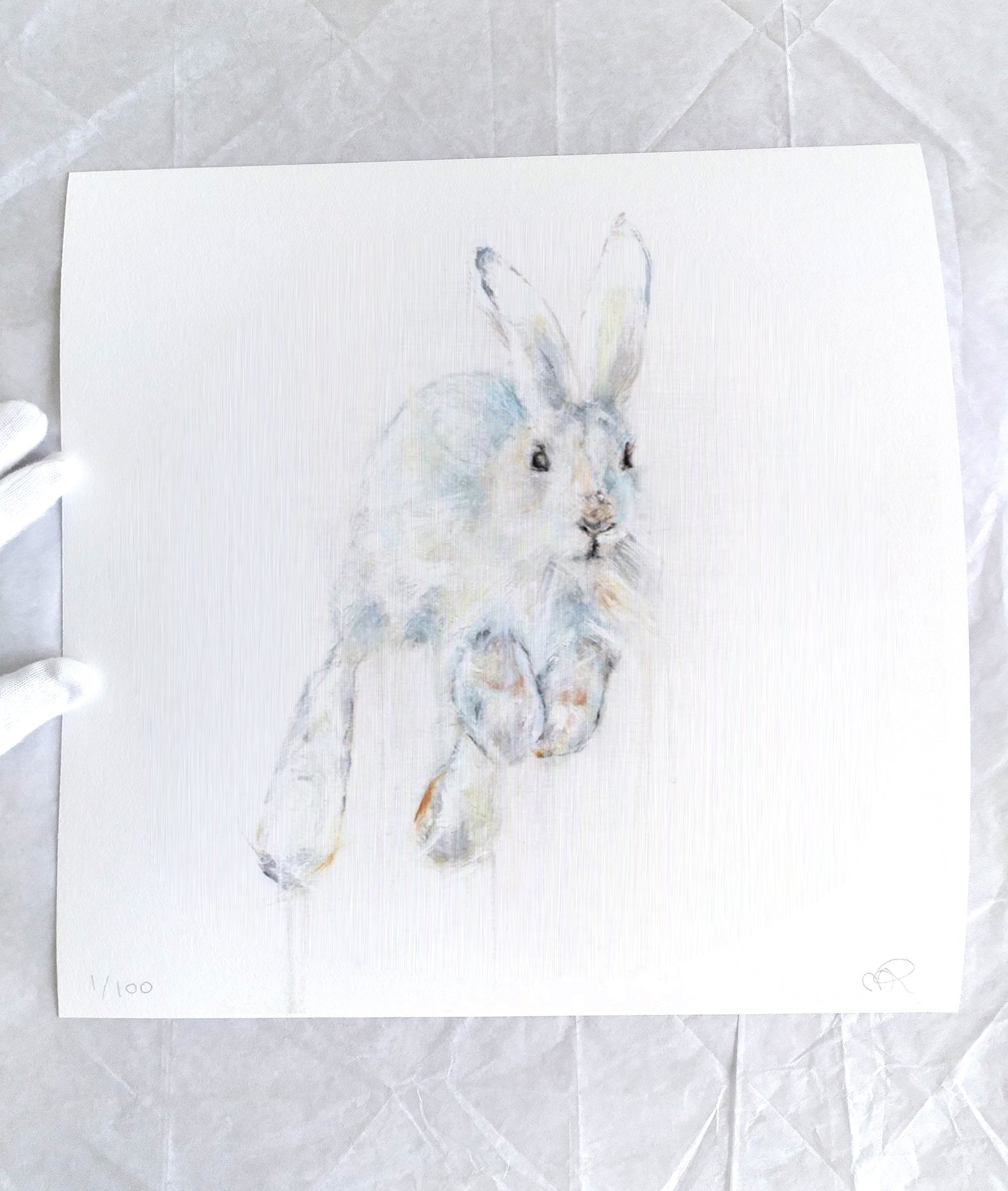 Snowshoe+Hare+VII_printimage3.jpg