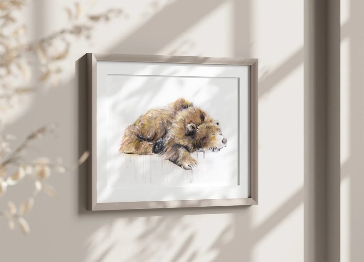 Grizzly+Bear+XII_printimage3.jpg