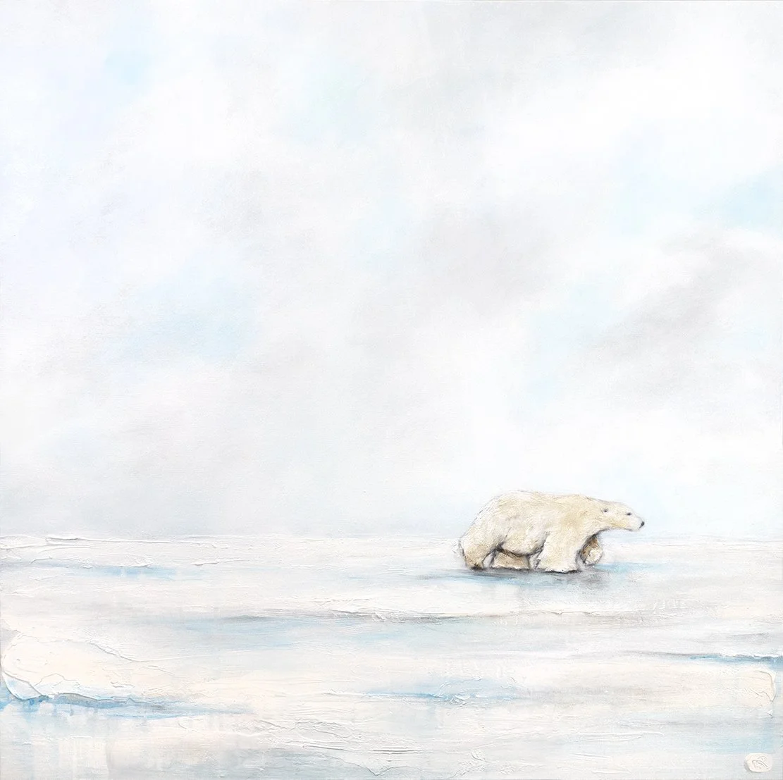 Polar Bear XC_1111.jpg
