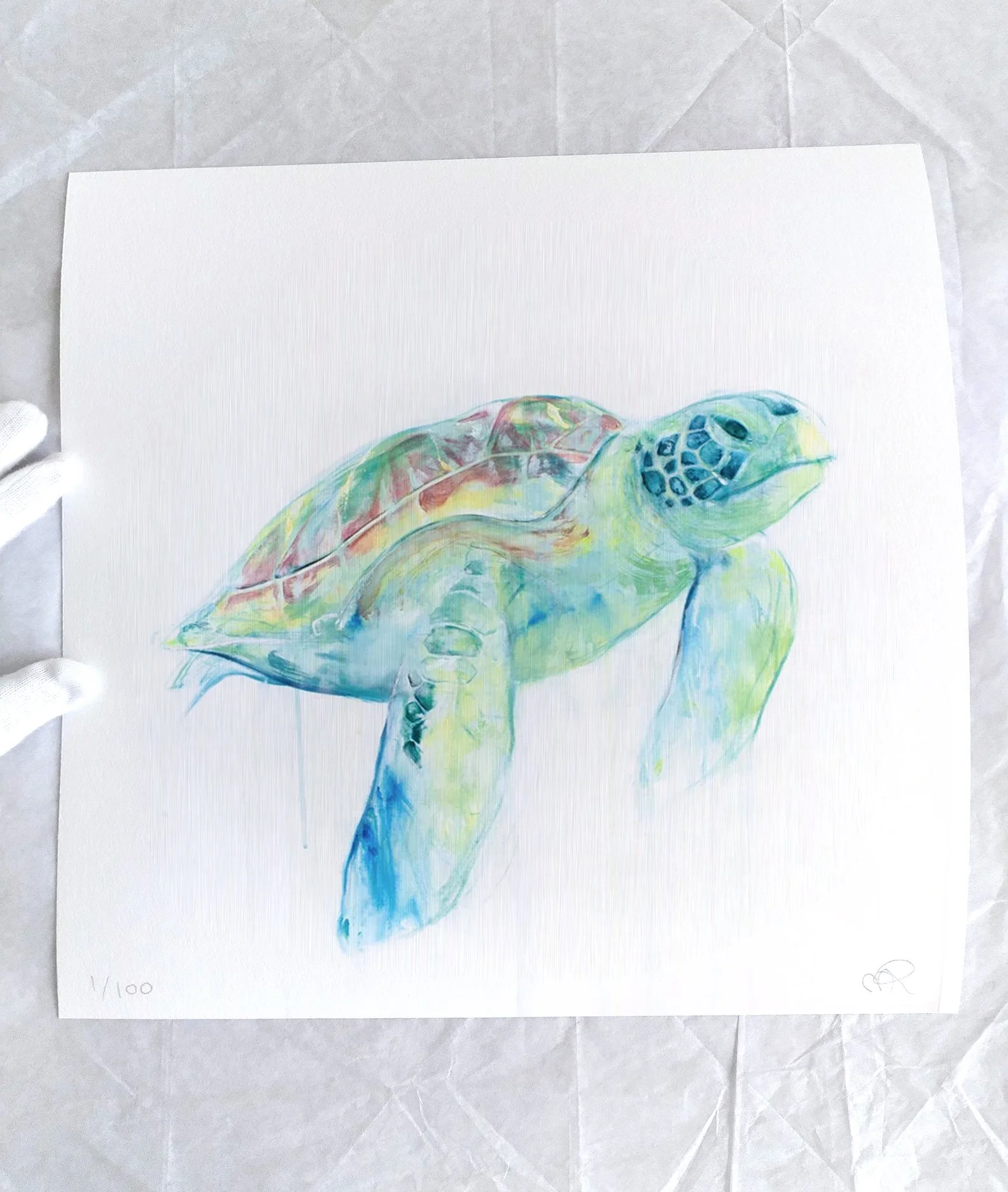 Turtle+I_printimage3.jpg