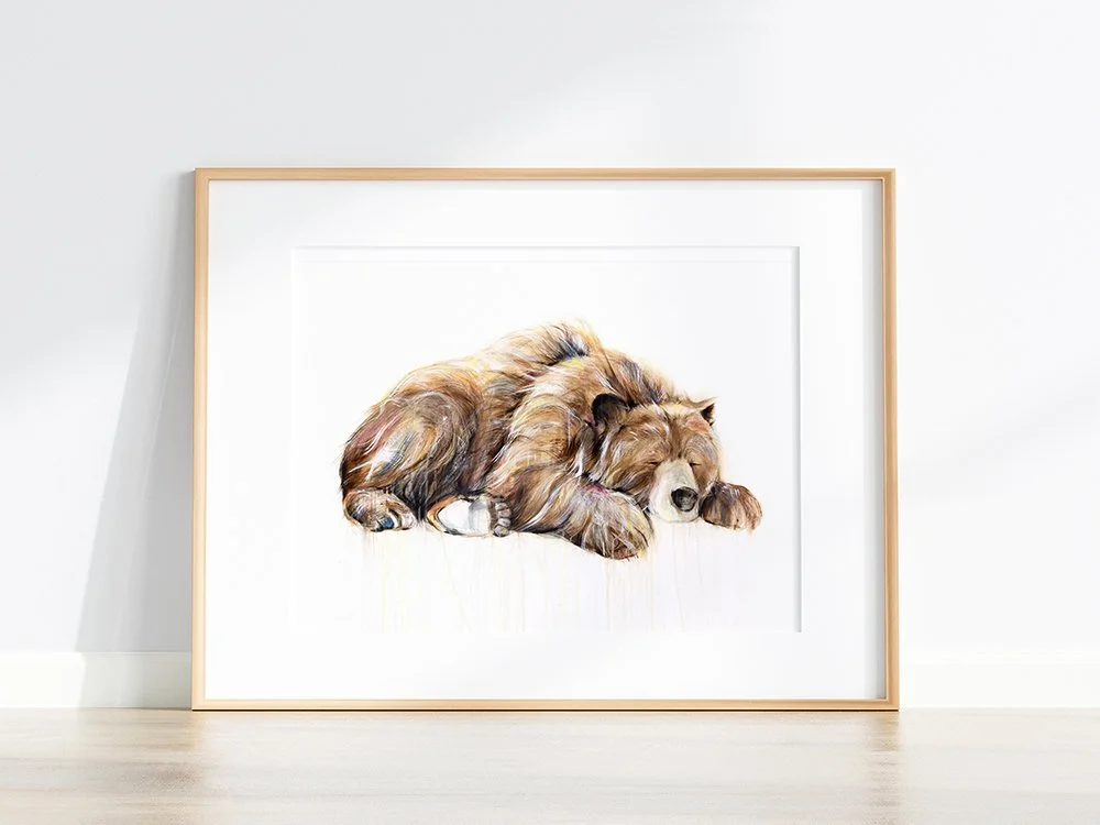 Grizzly+Bear+XVII_printimage33.jpg