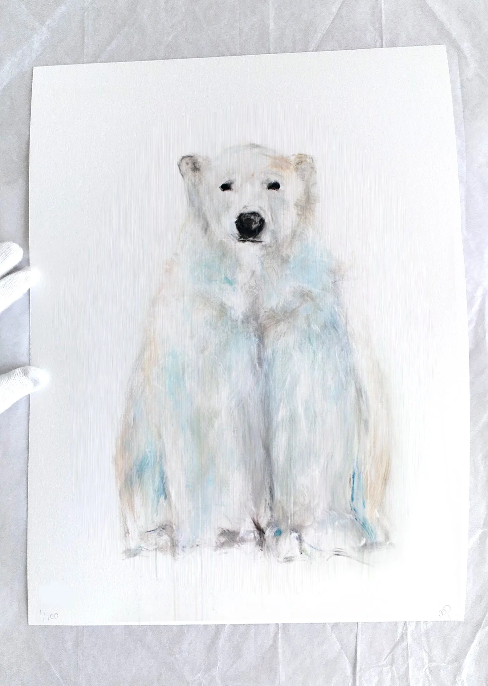Polar+Bear+XIV printimage23.jpg
