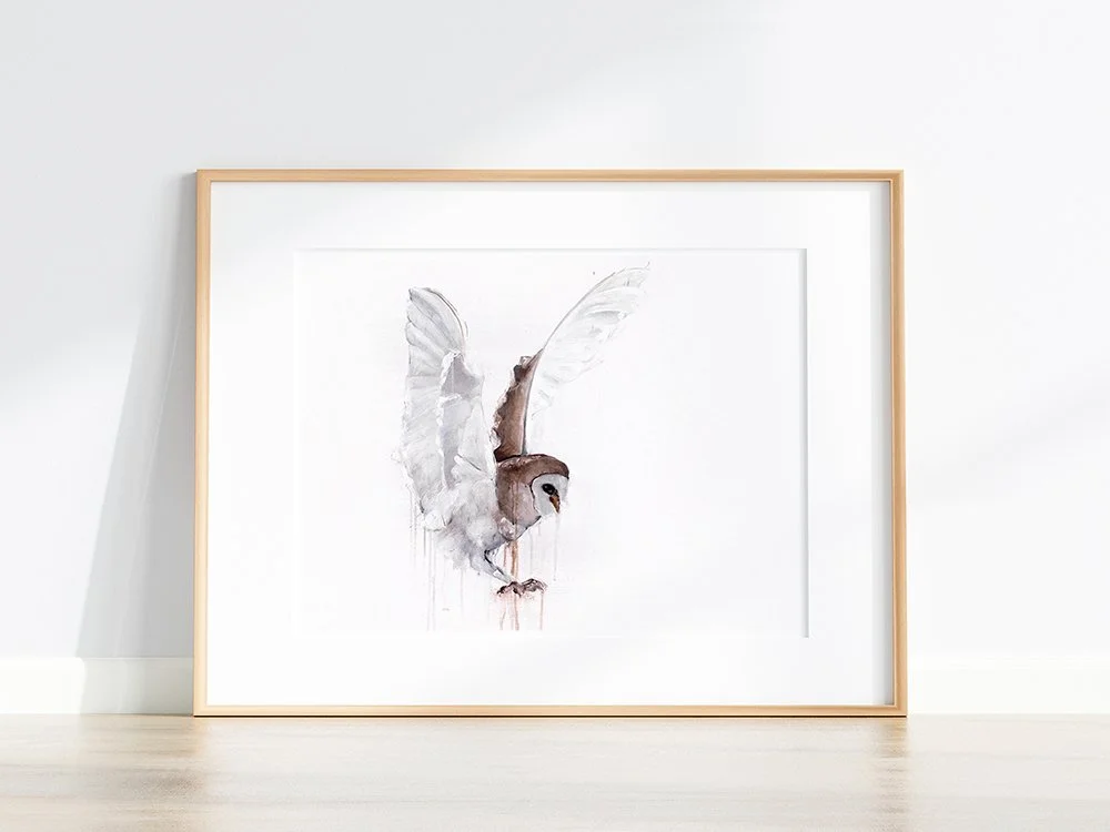Barn Owl I_printimage222.jpg