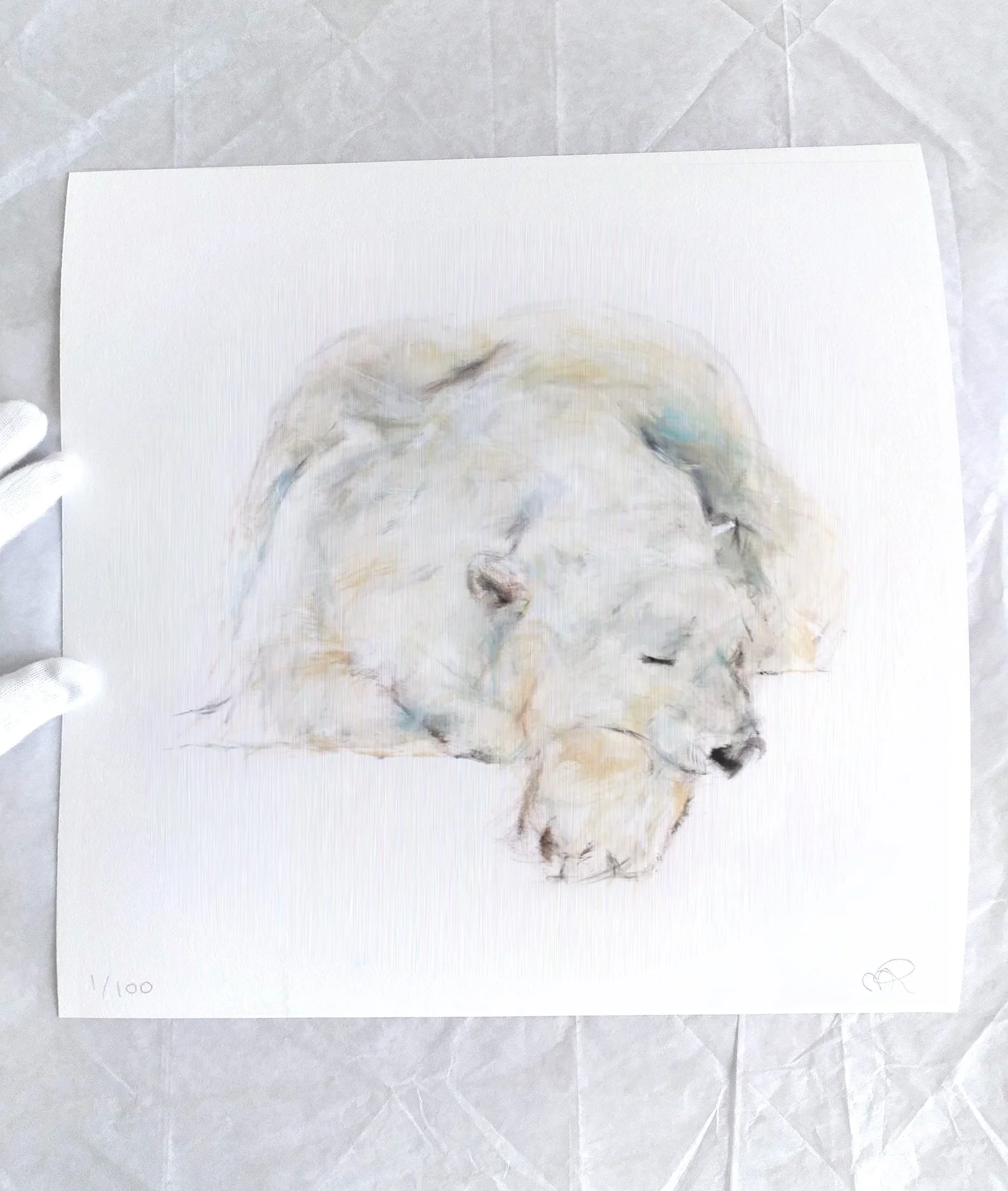Polar+Bear+XXIII_printimage3.jpg