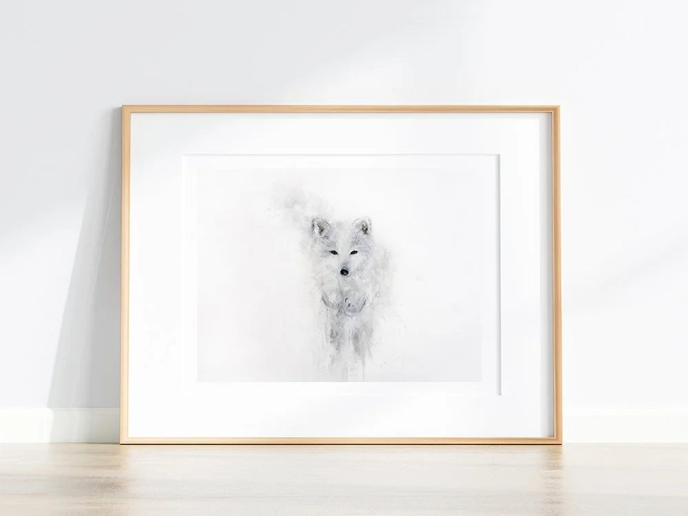 Arctic Fox I_printimage33.jpg