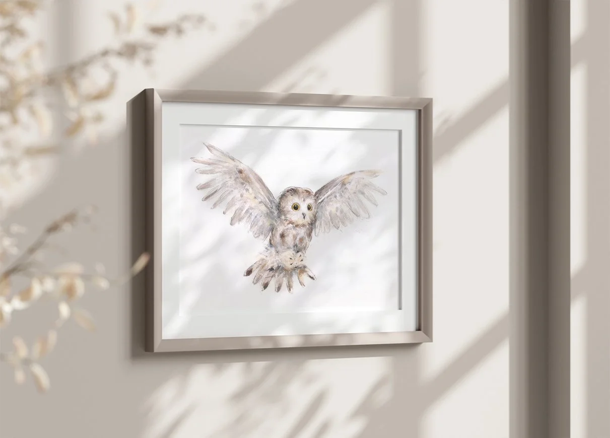 Northern+Saw-whet+Owl+II_printimage3.jpg