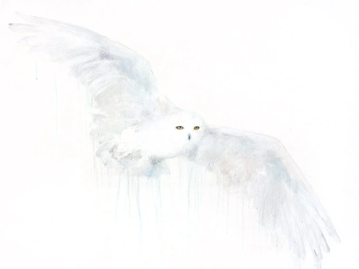 Snowy+Owl+III_printimage.jpg