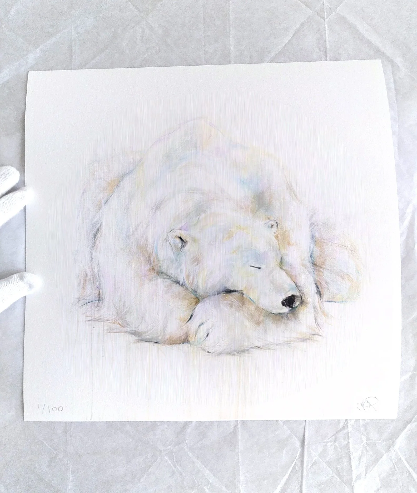 Polar+Bear+LVIII_printimage3.jpg