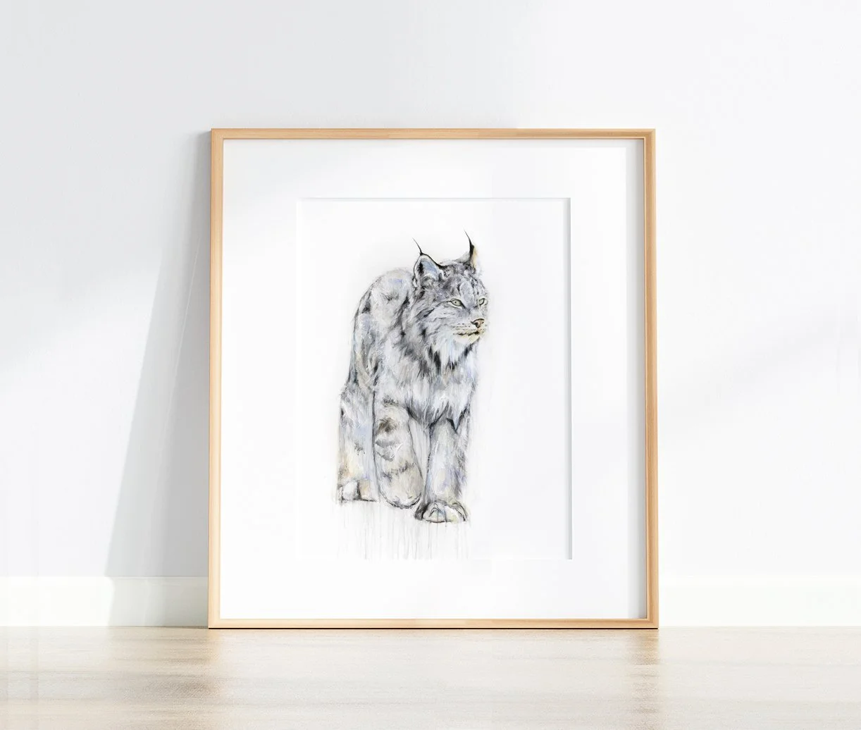 Lynx VII_printimage2.jpg
