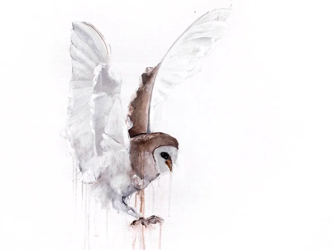 Barn Owl I_printimage2.jpg