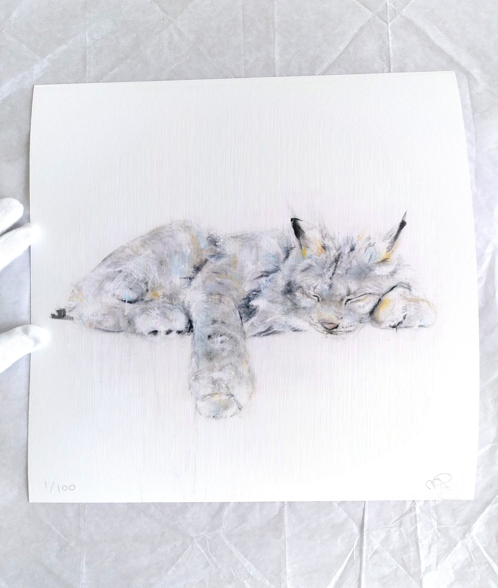 Lynx+III_printimage2.jpg