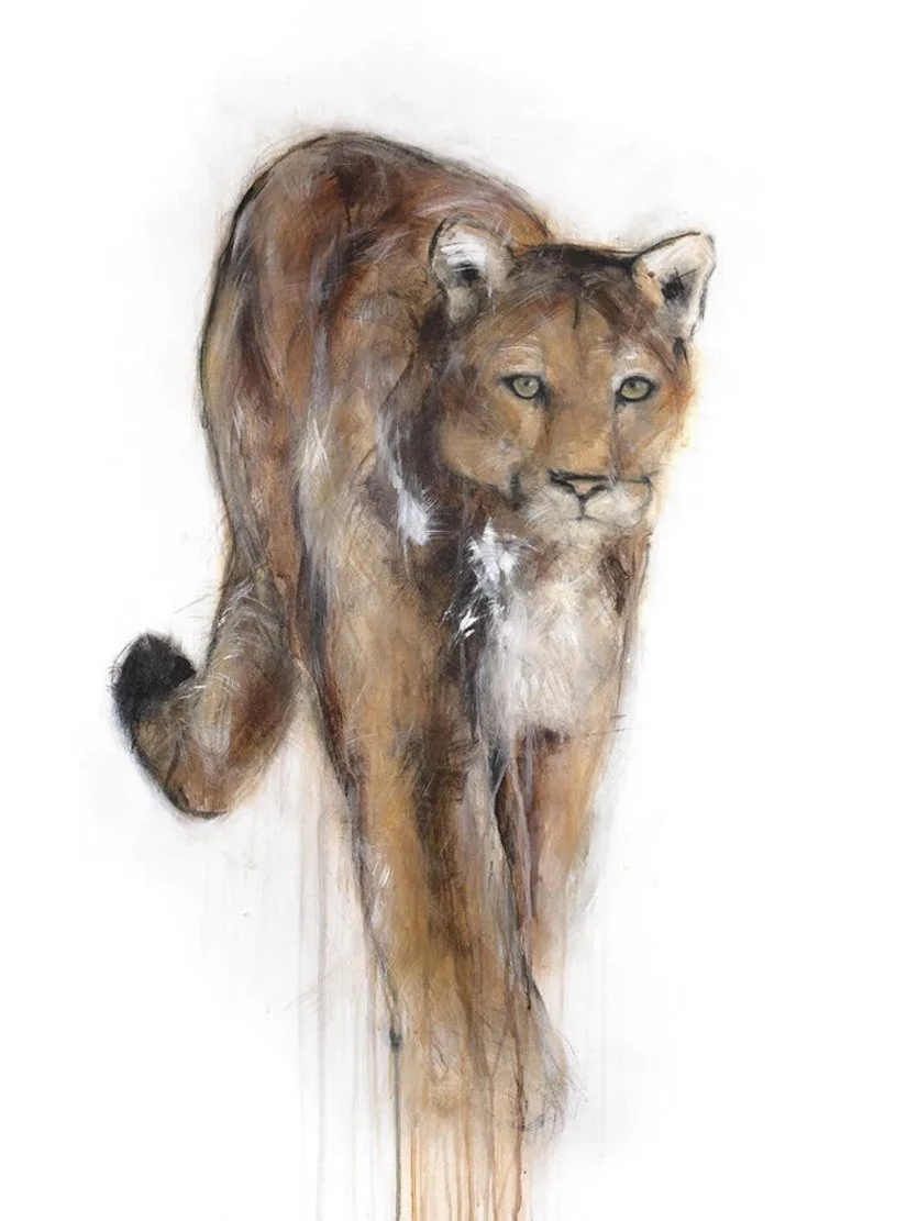 CougarIV_printimage.jpg