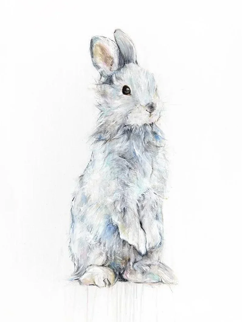Rabbit+II_printimage.jpg