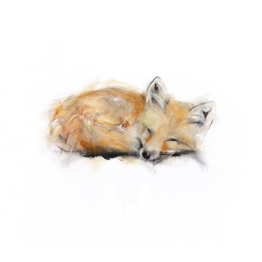 Fox III_12x16_square.jpg