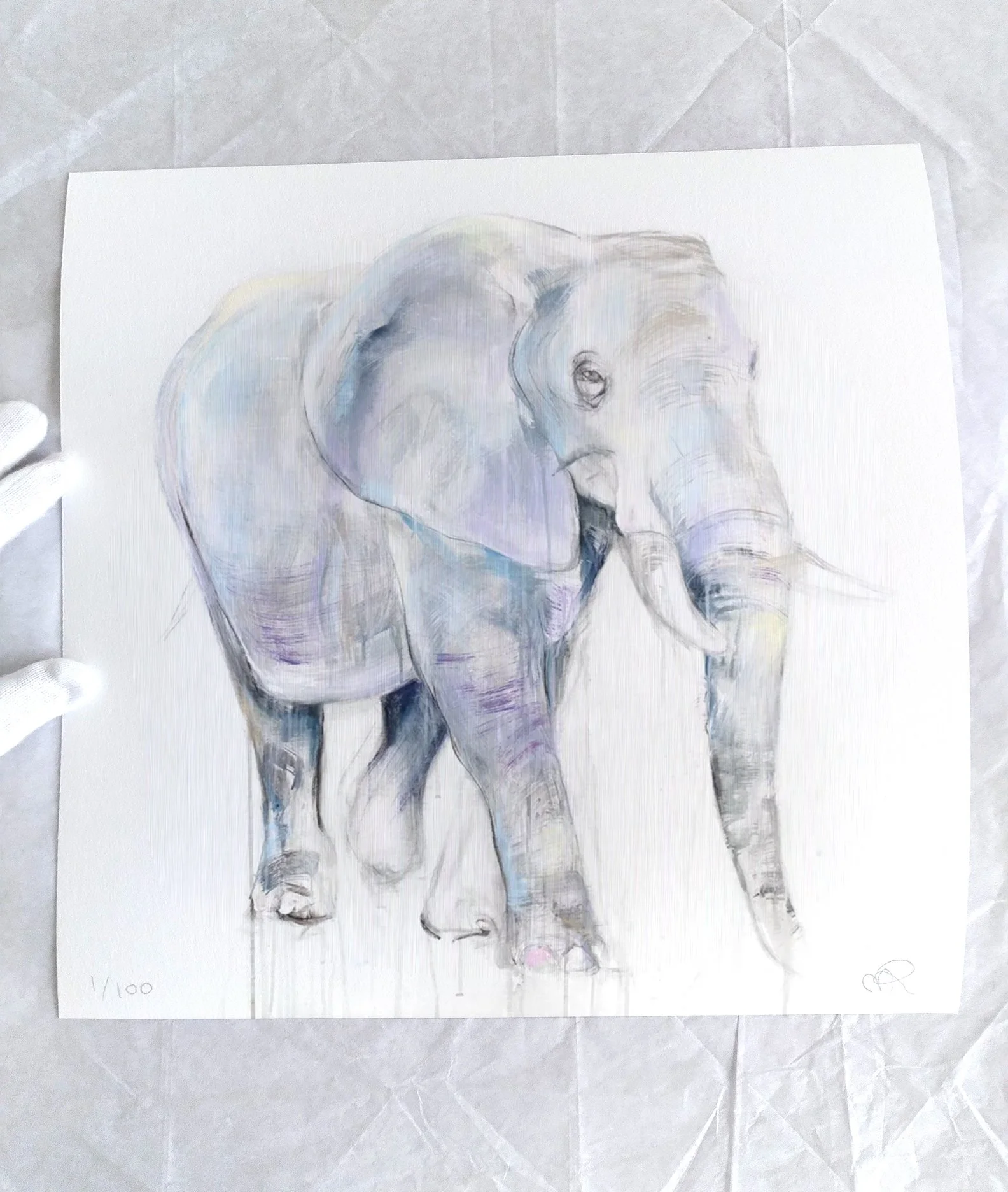 Elephant+I_printimage2.jpg