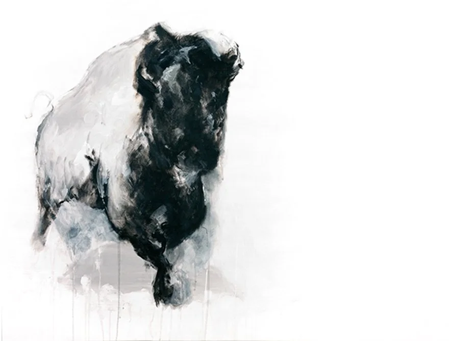 Bison+XVI_printimage.jpg