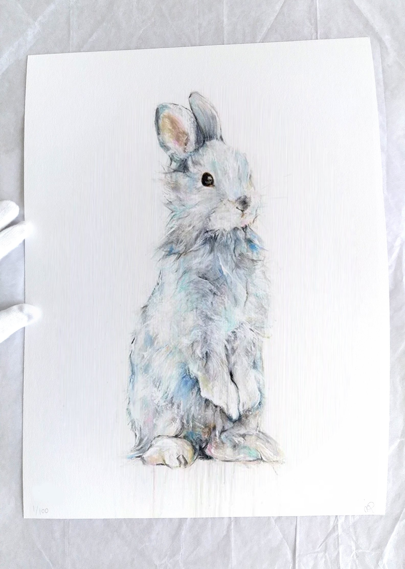 Rabbit+II_printimage3.jpg