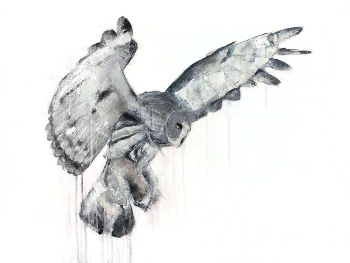 Great Grey Owl I_printimage.jpg