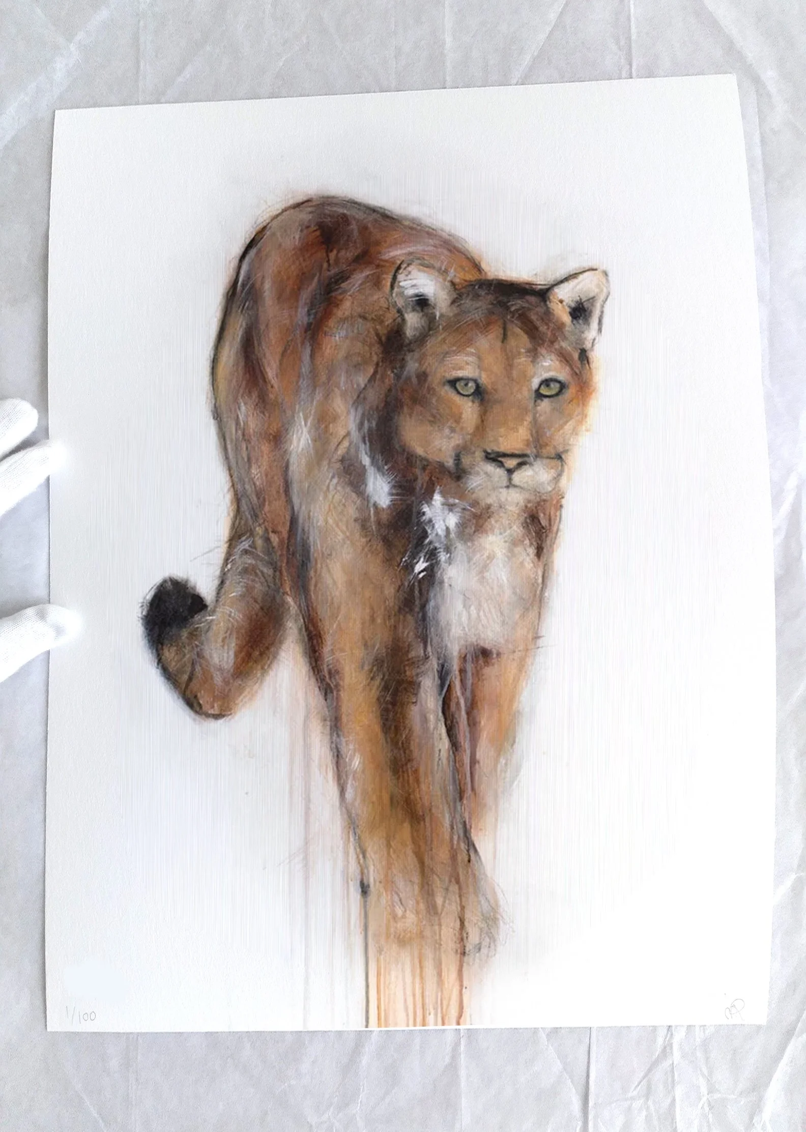 CougarIV_printimage2.jpg