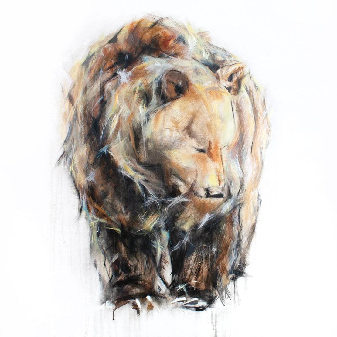 Grizzly+Bear+VIII_printimage.jpg