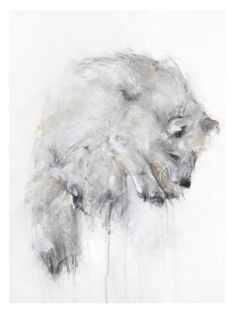 Arctic Fox II_printimage22.jpg