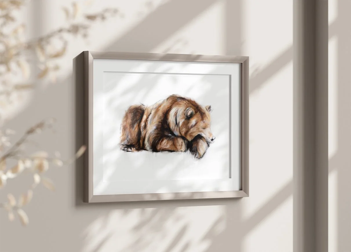 Grizzly+Bear+IX_printimage2.jpg