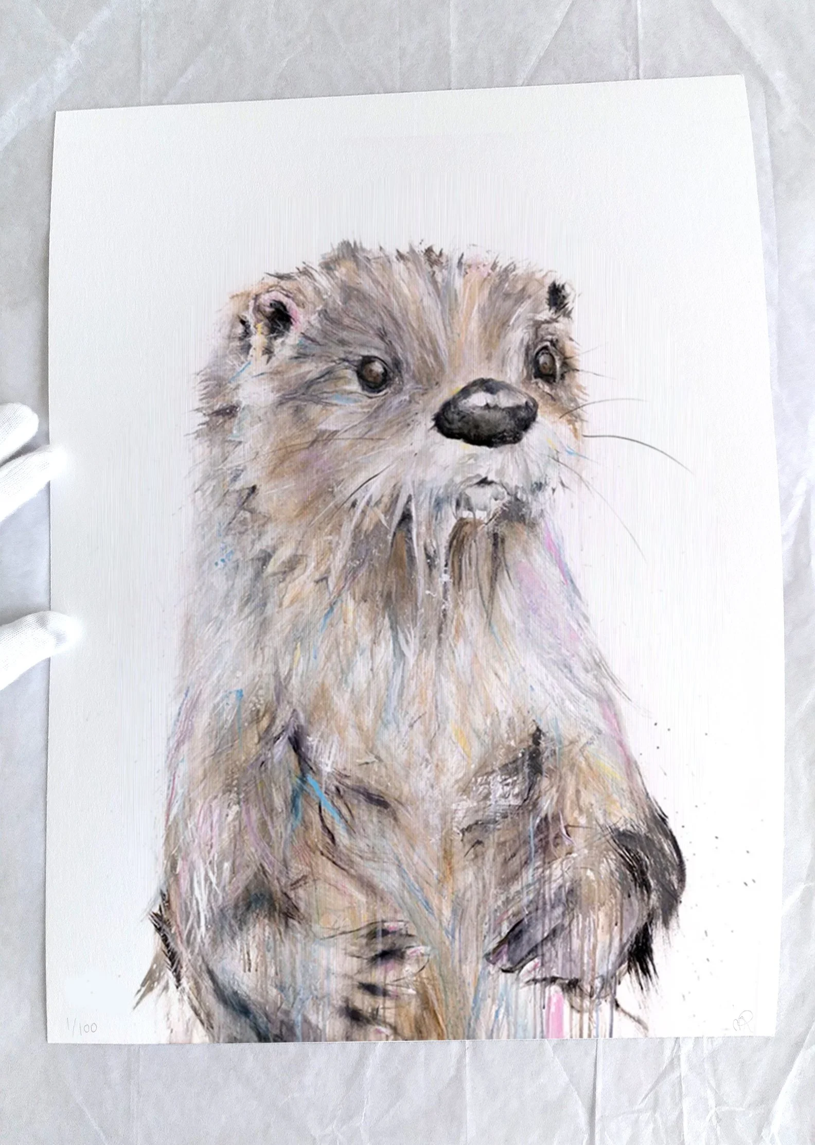 Otter+II_printimage2.jpg