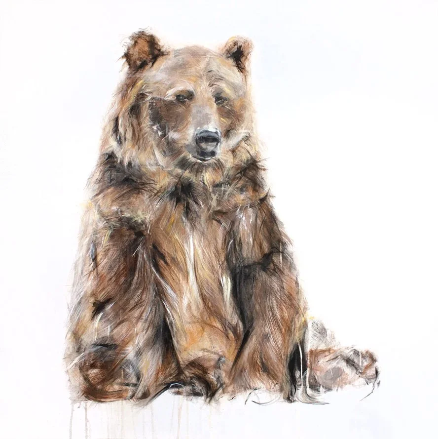 Grizzly+Bear+VII_printimage.jpg