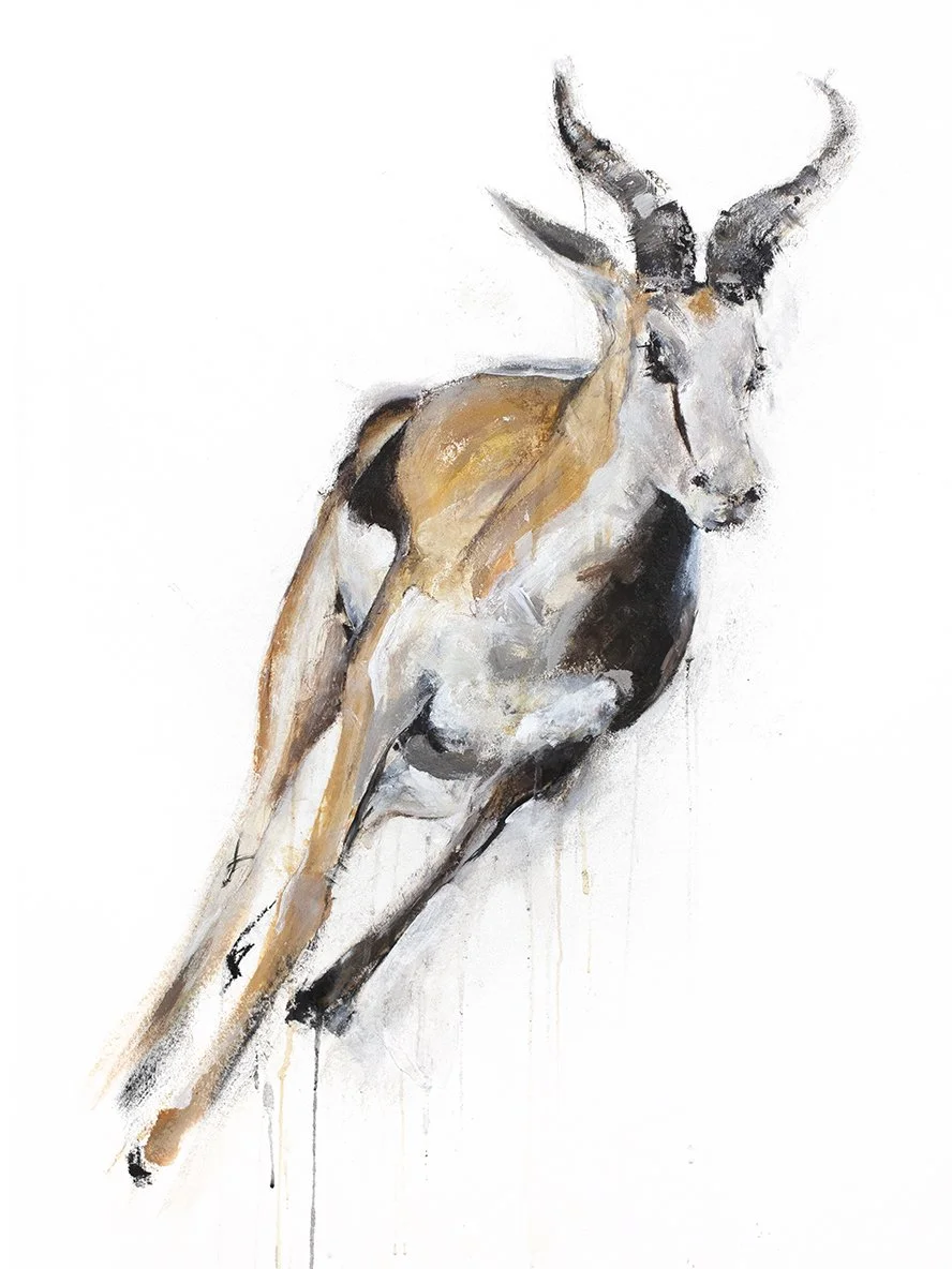 Gazelle 1_printimage.jpg