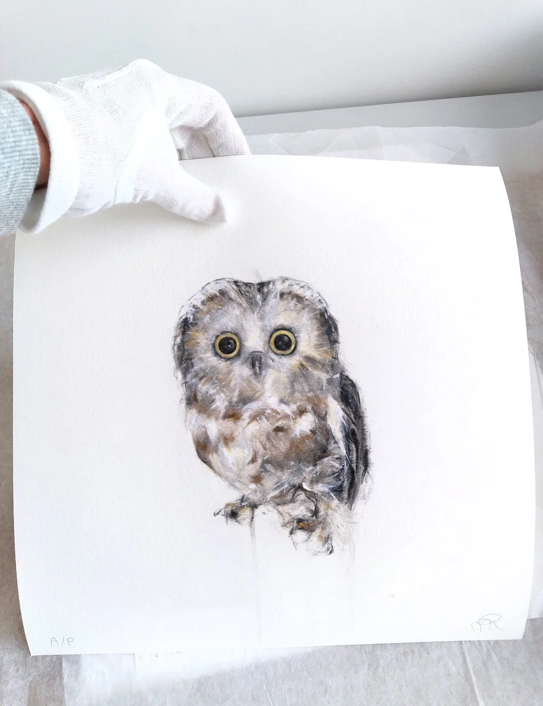 Northern Saw-Whet Owl I_printimage3.jpg