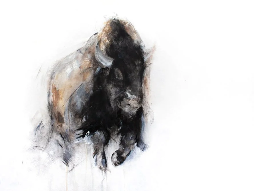Bison+XXV_printimage2.jpg