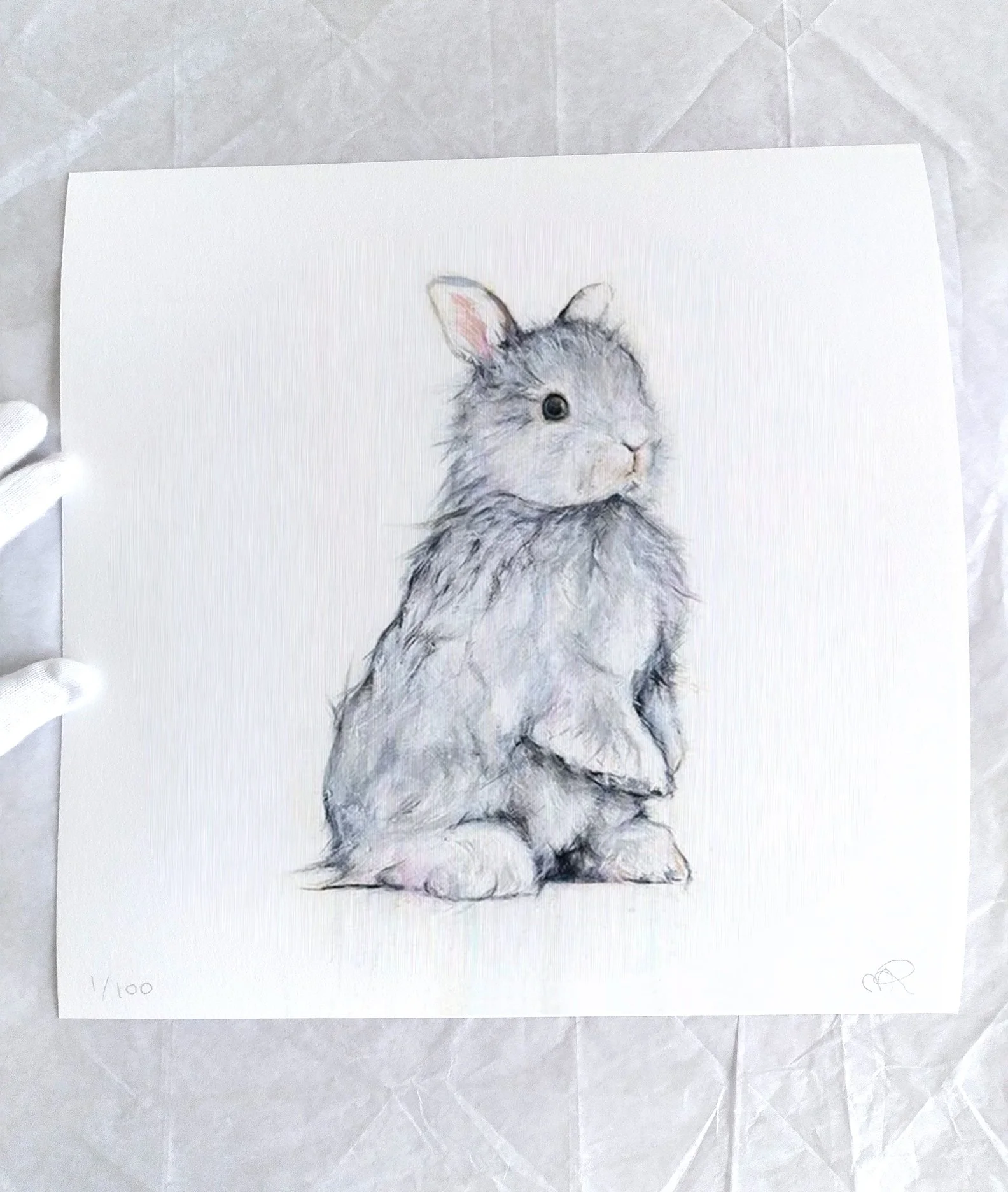 Rabbit+V_printimage33.jpg