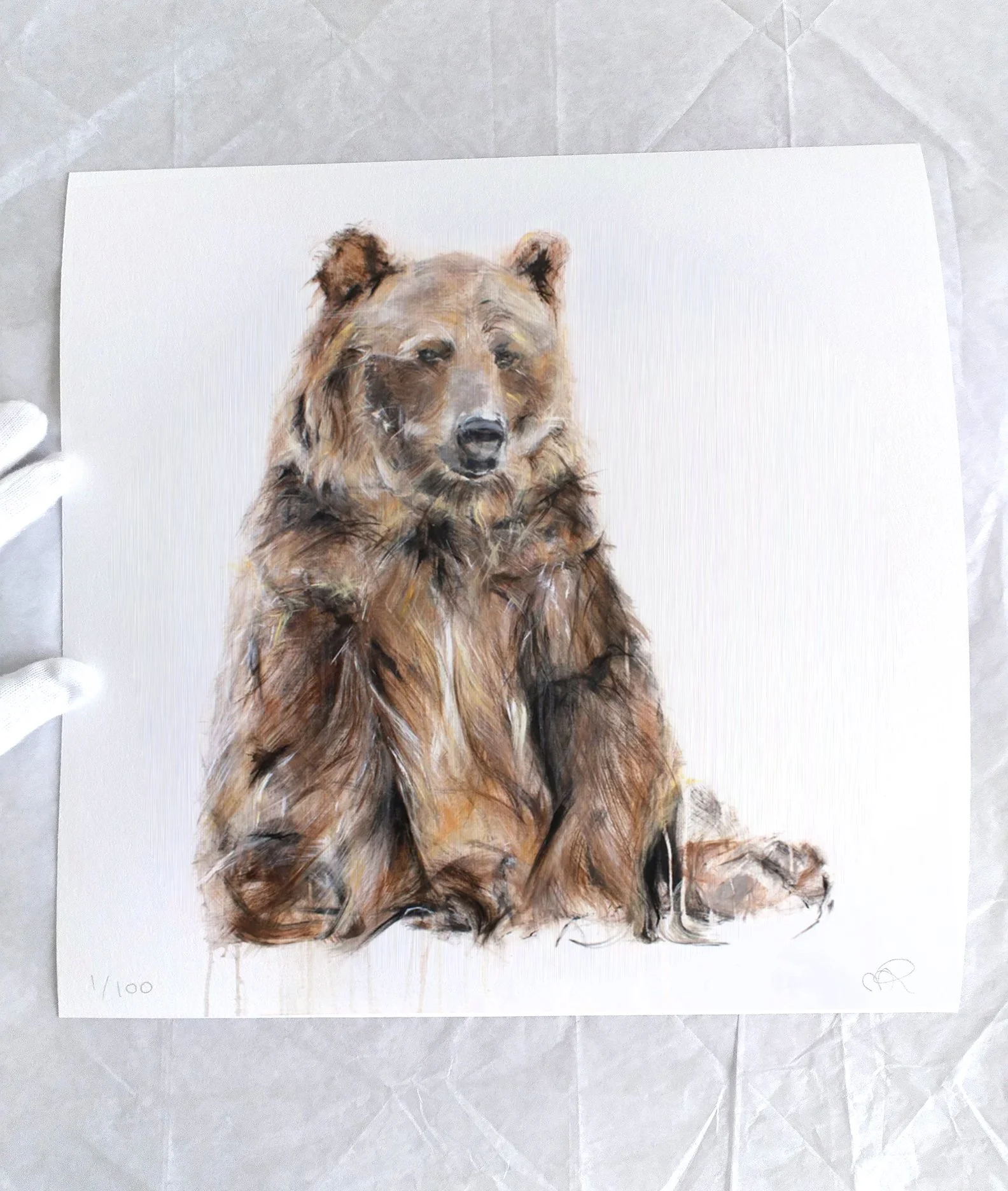 Grizzly+Bear+VII_printimage2.jpg