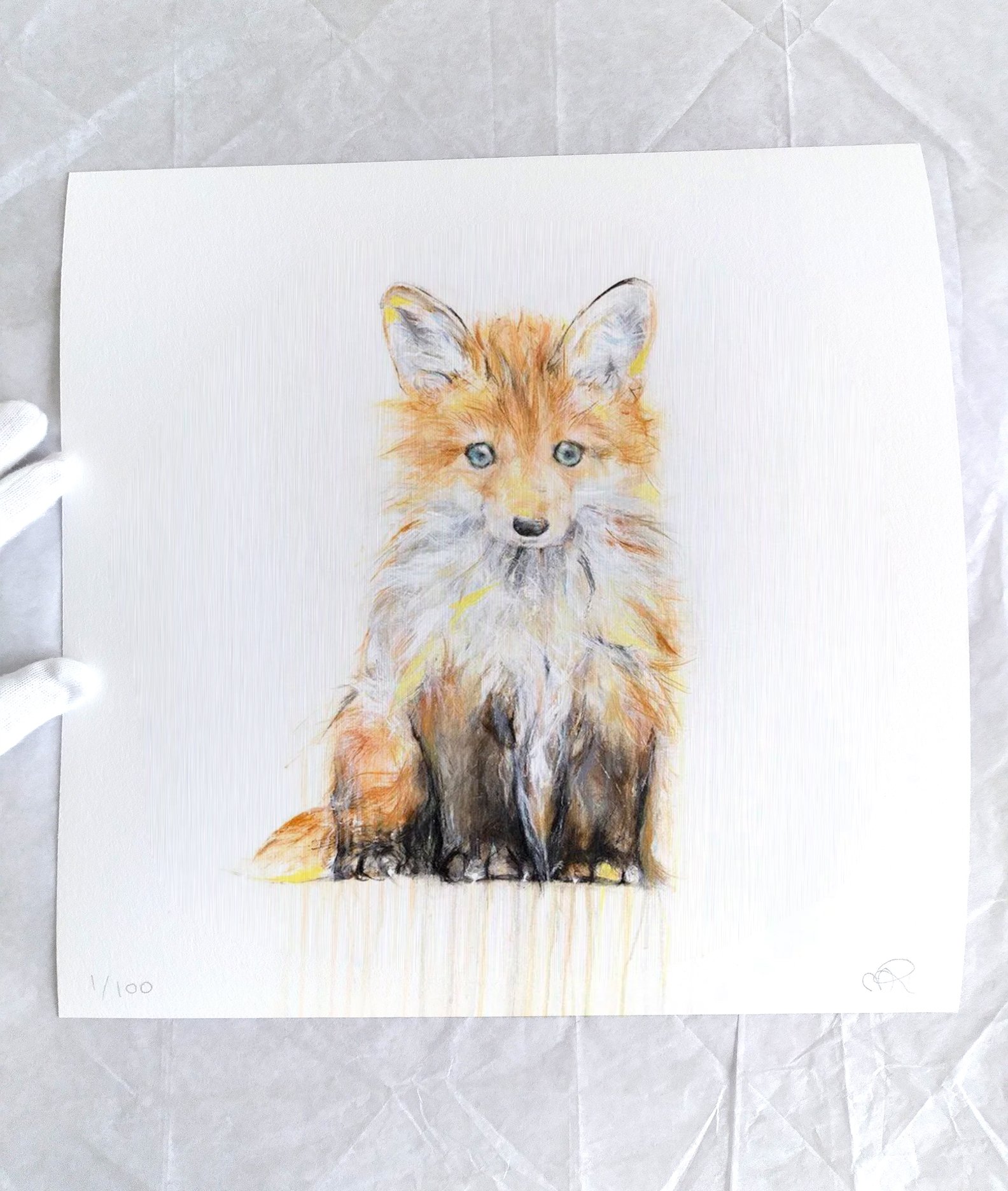 Fox+VIII_1111_printimage3.jpg