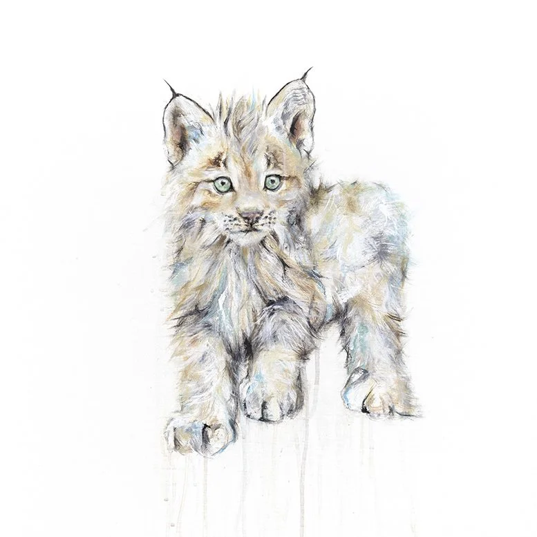 Lynx V_12x12_printimage.jpg