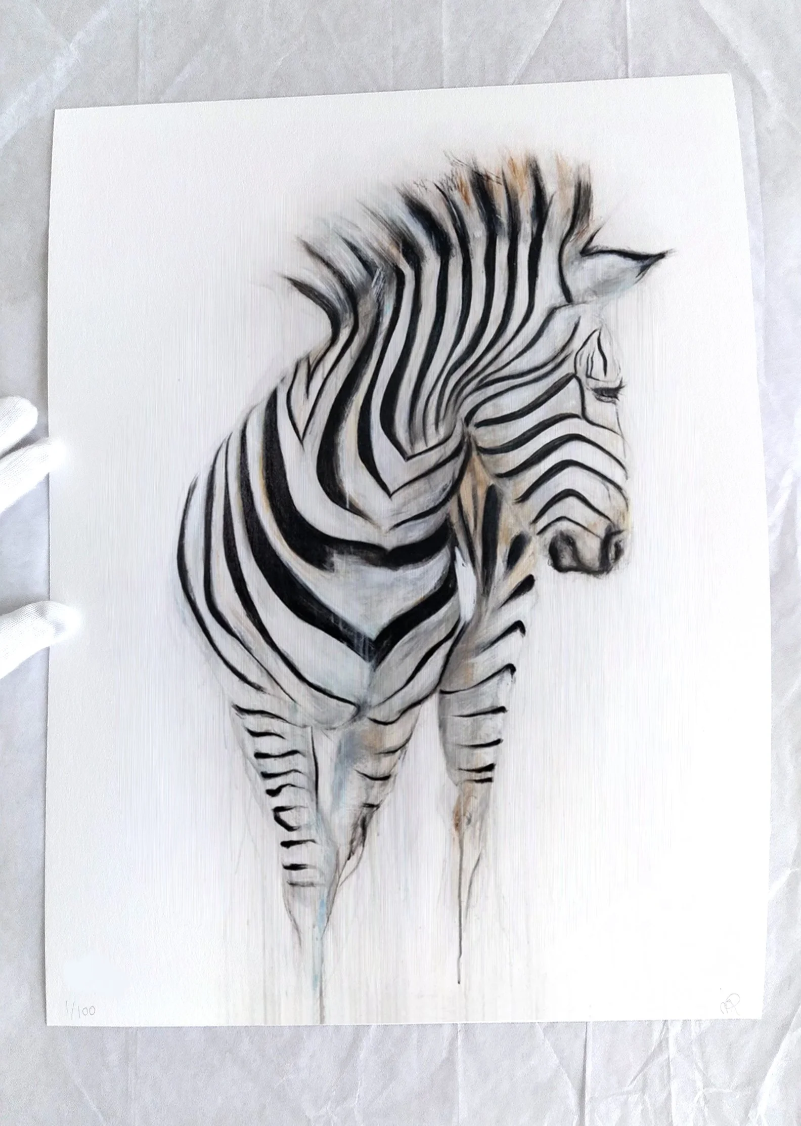 Zebra I_printimage3.jpg