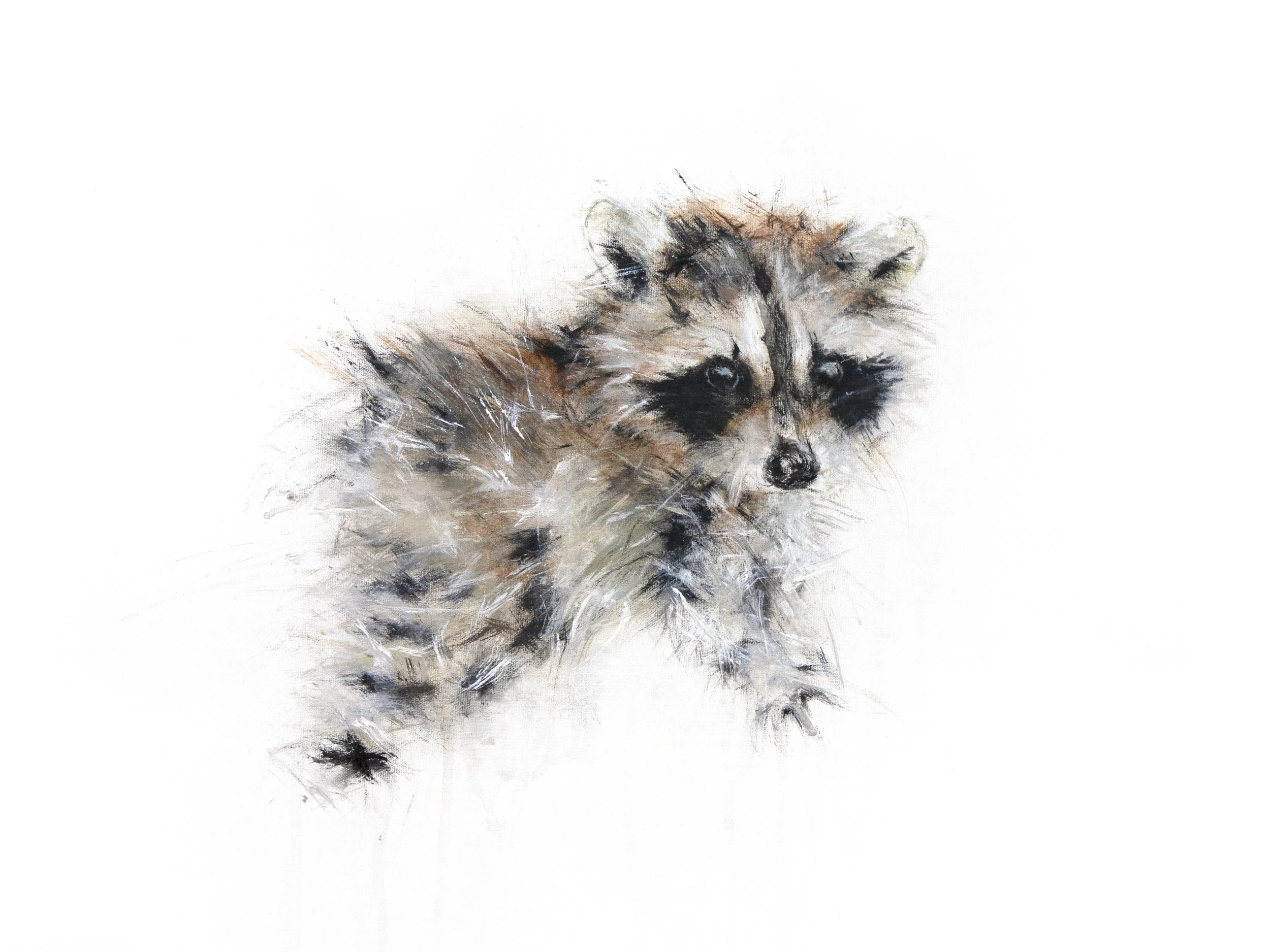 Raccoon I_print.jpg