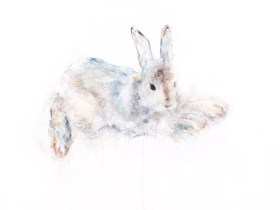 Snowshoe+Hare+V_printimage.jpg