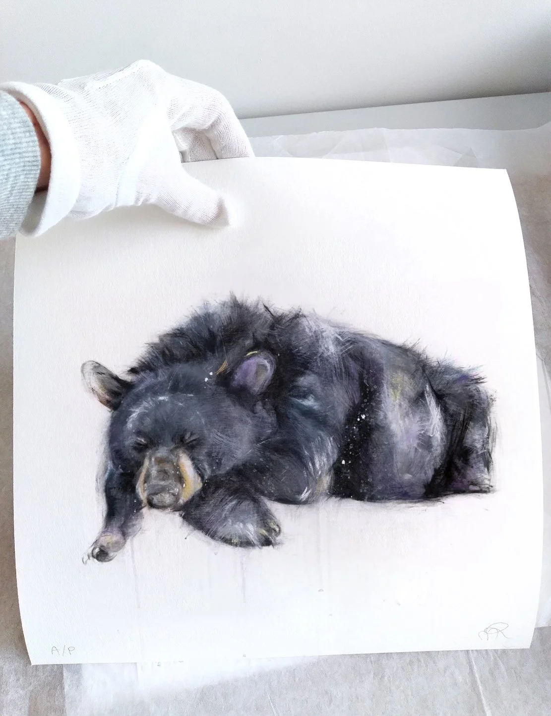 Black+Bear+II_printimage_2.jpg