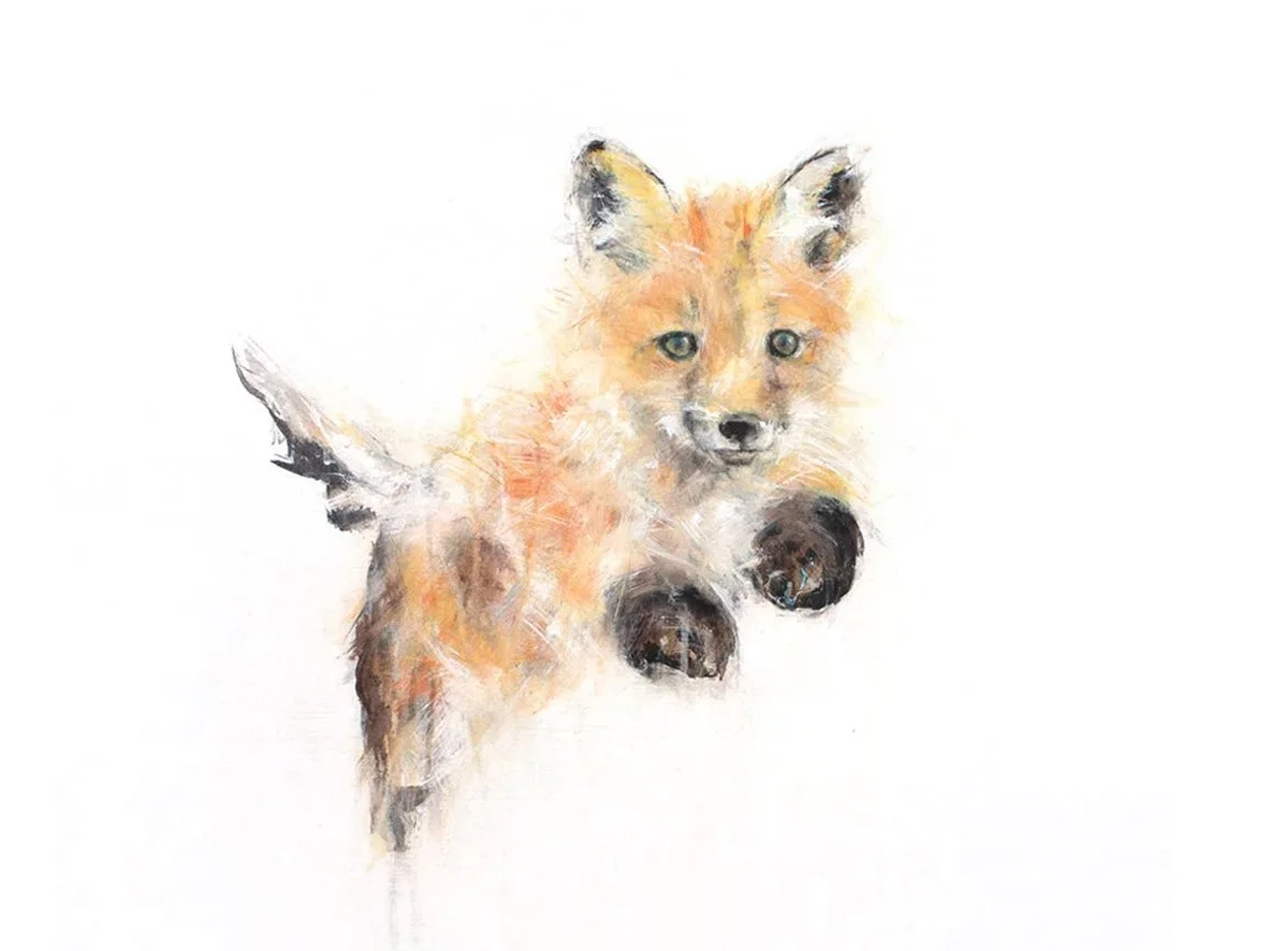 Fox+IV_1111_printimage rec11.jpg