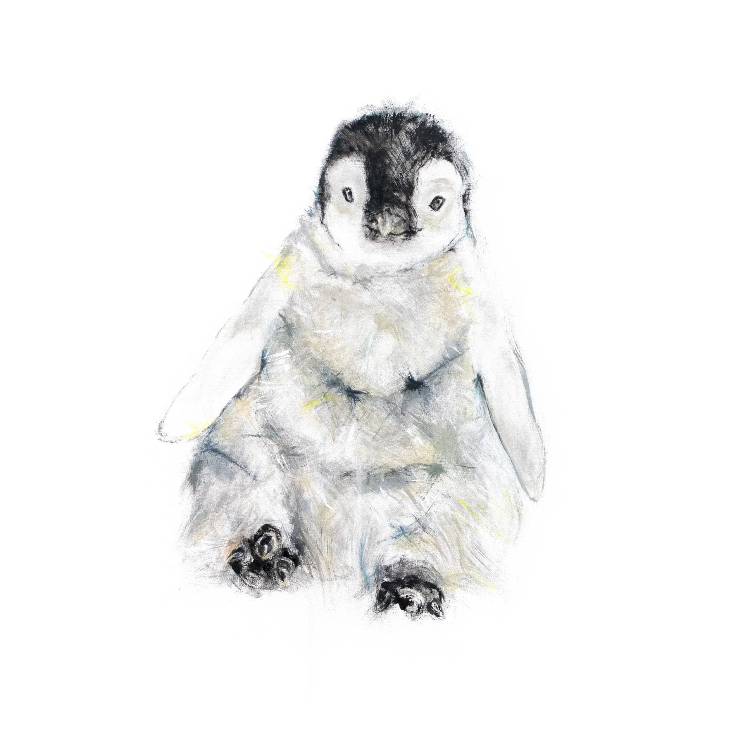 Penguin+I_print+image5.webp