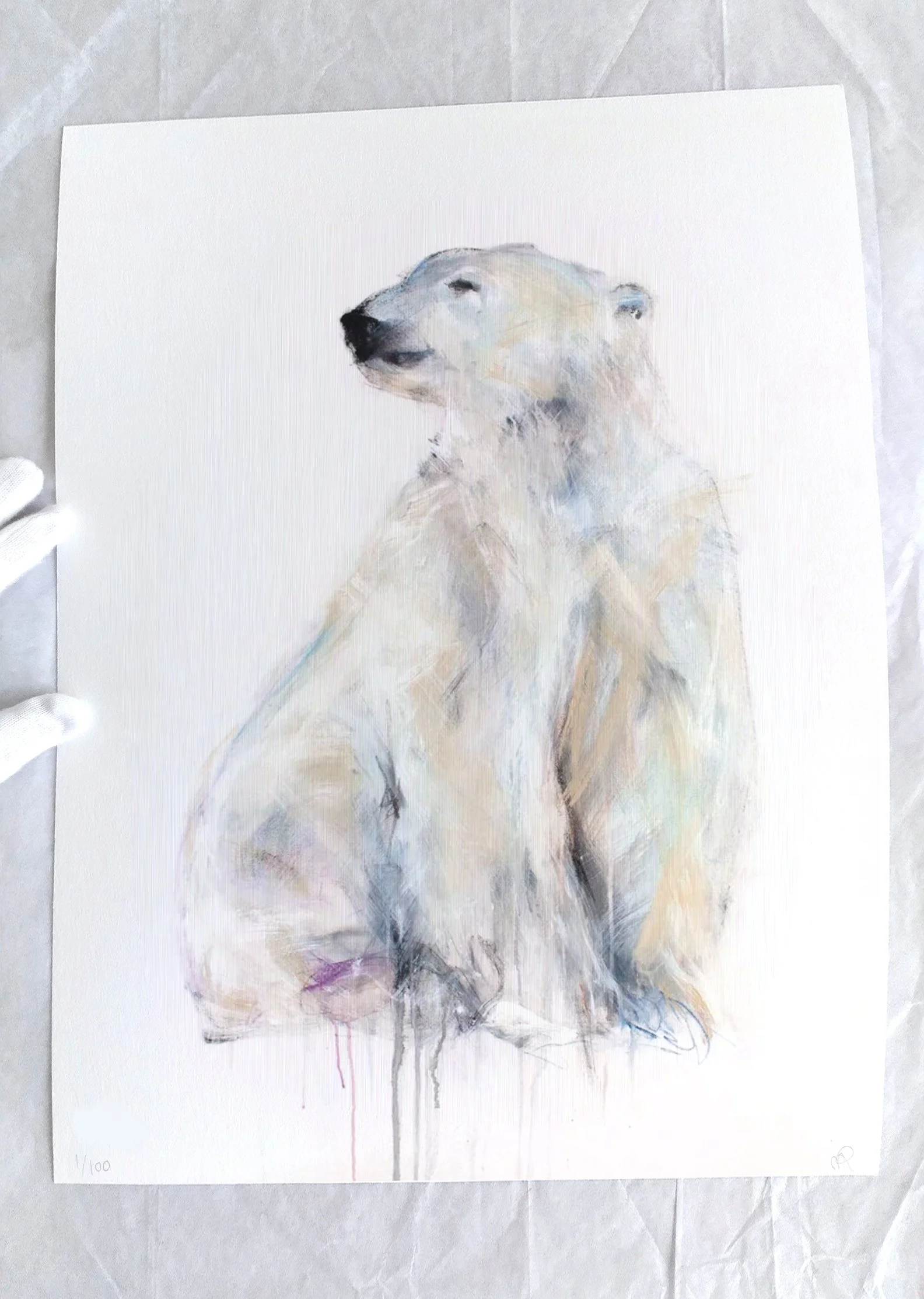 PolarBearXVI_printimage3.jpg