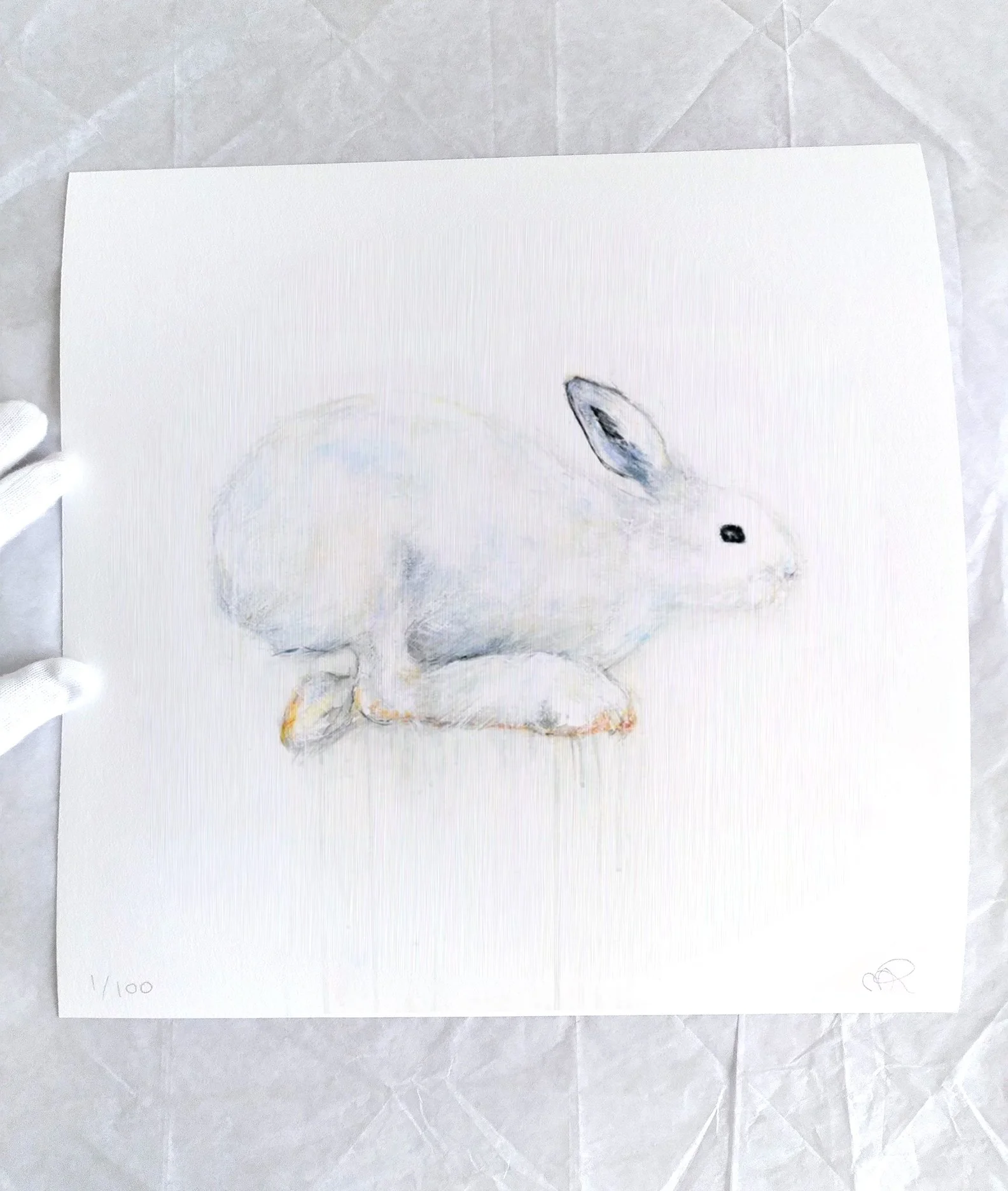 Snowshoe+Hare+IX_printimage2.jpg