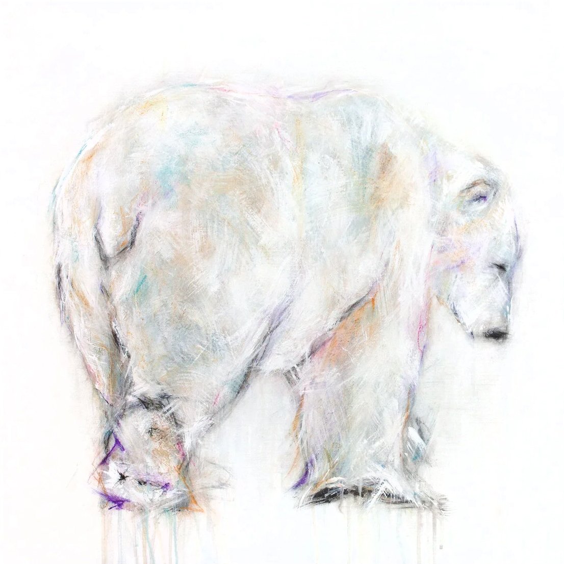 Polar+Bear+XXXVIII_printimage.jpg