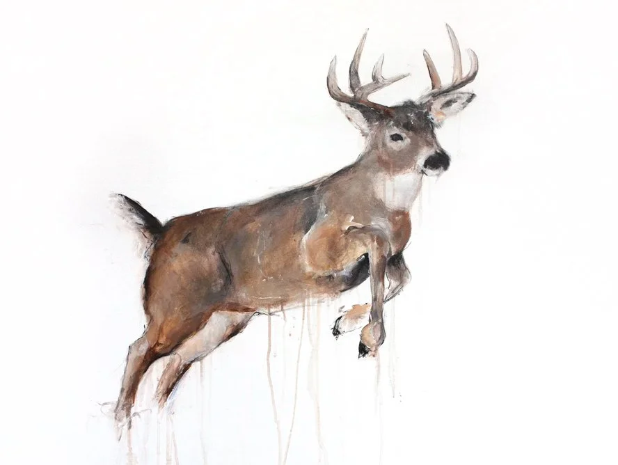 Deer II_printimage.jpg