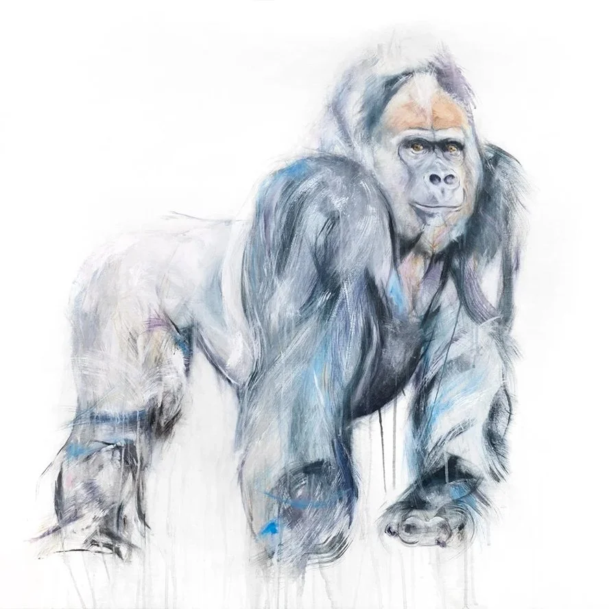 Gorilla+I_rintimage.jpg